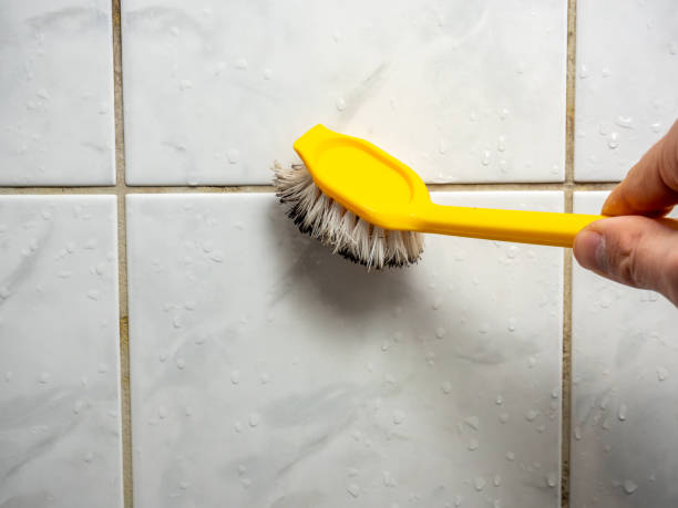 Best Insurance-Related Mold Remediation in Downs, IL