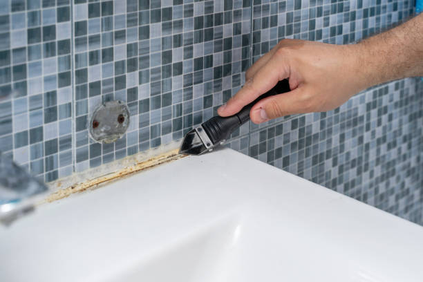 Best Bathroom Mold Remediation in Downs, IL